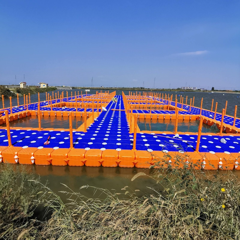 Floating box platform mold